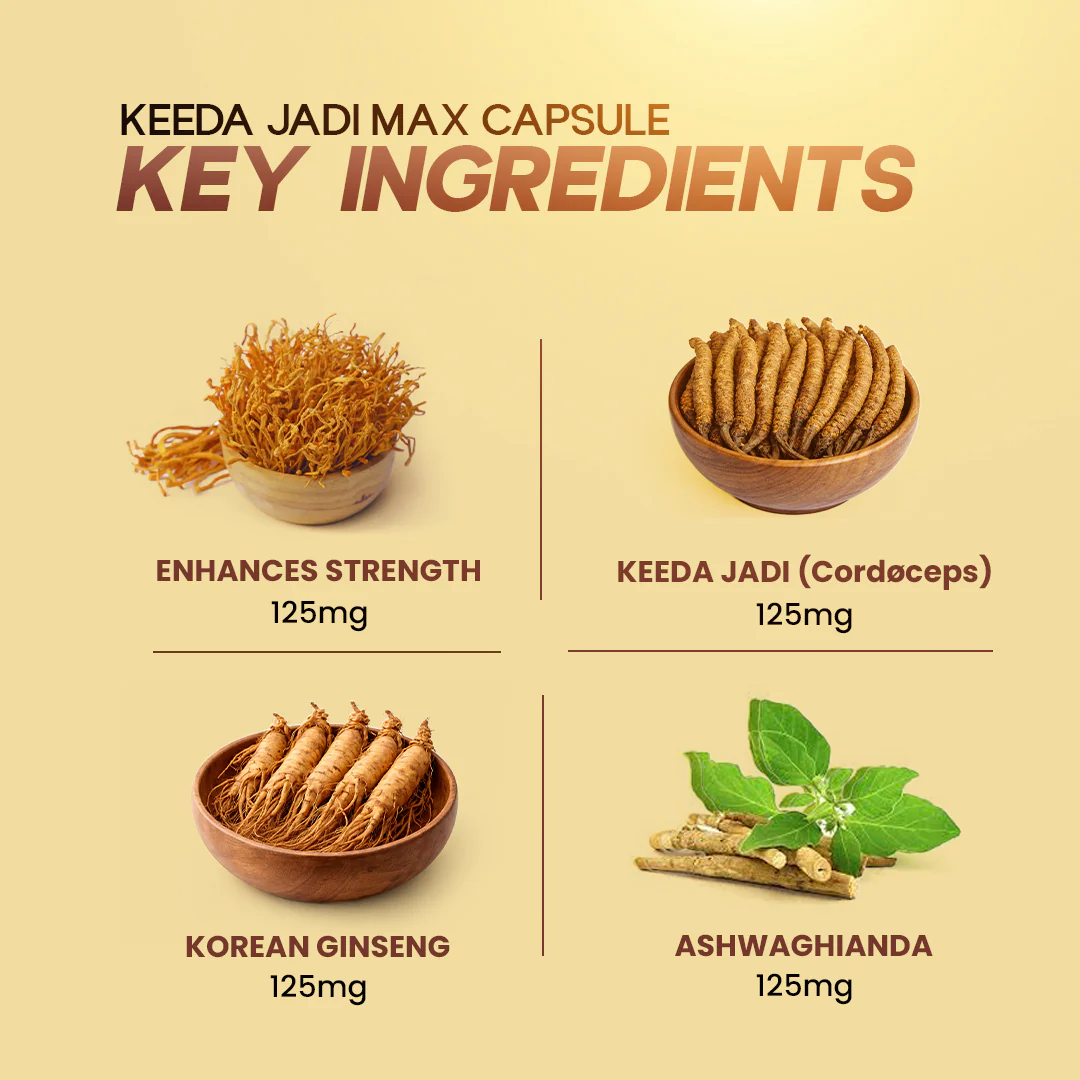 Lazab Keeda Jadi Max Capsule - Premium Men's Wellness Formula - Image 4