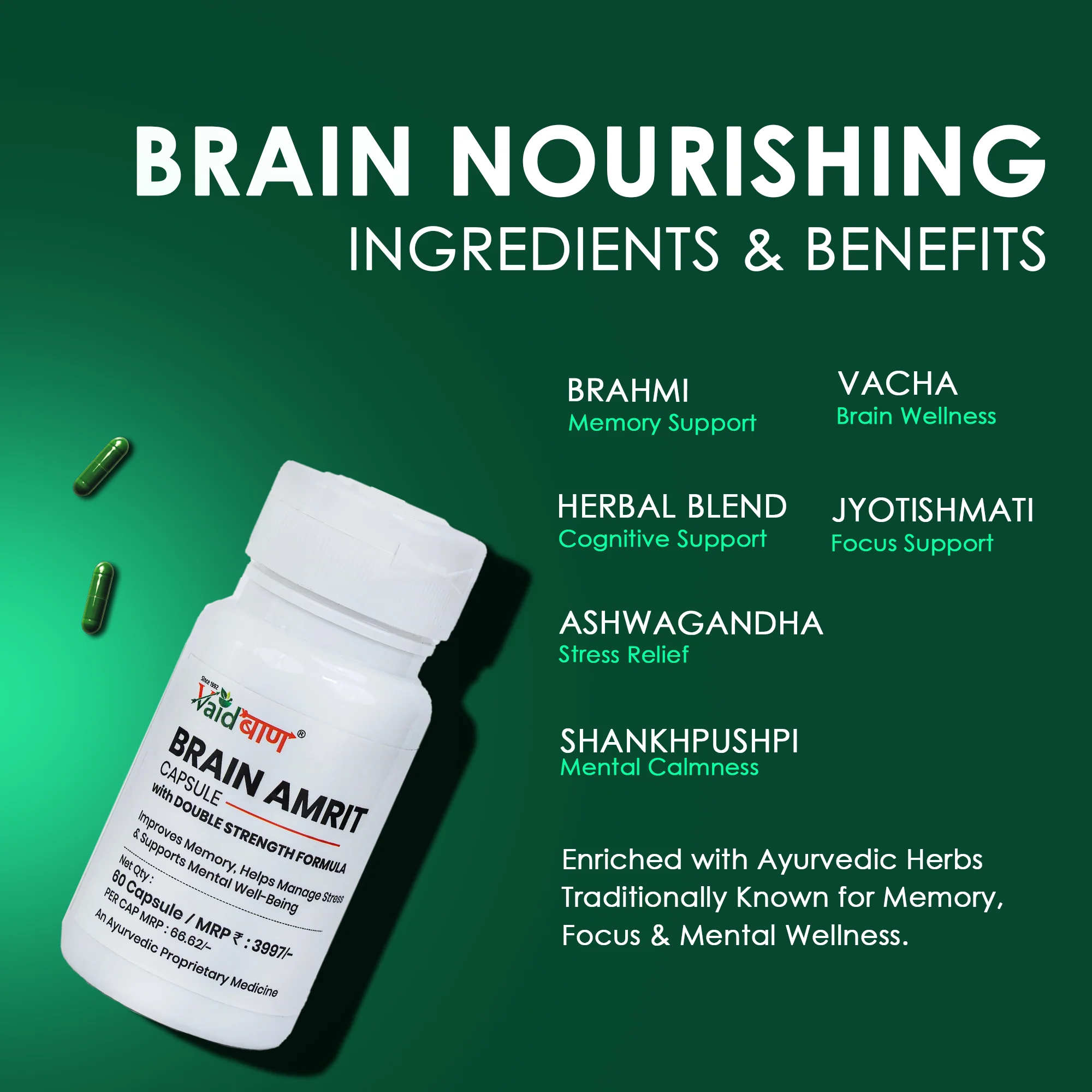 Vaidban Brain Amrit Capsule – Double Strength Formula - Image 2