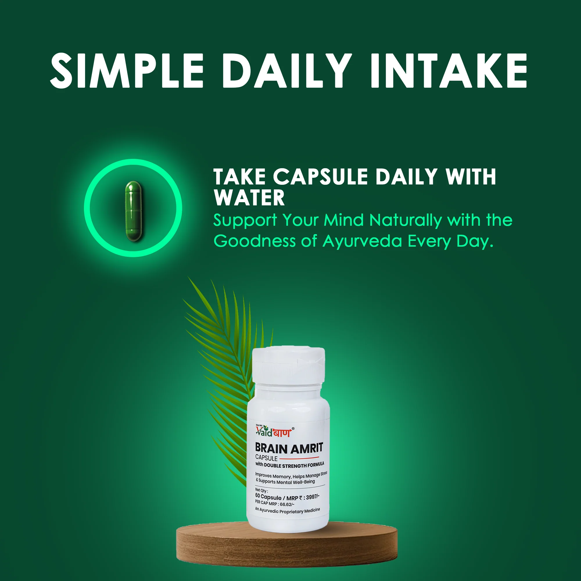Vaidban Brain Amrit Capsule – Double Strength Formula - Image 3