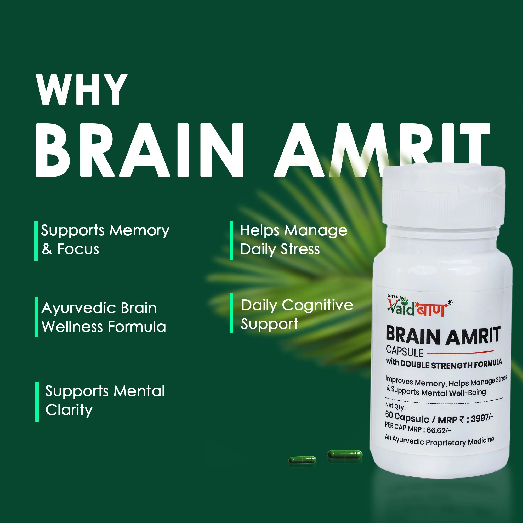 Vaidban Brain Amrit Capsule – Double Strength Formula - Image 4