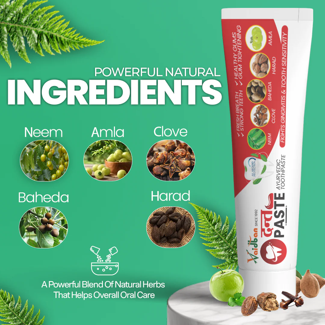 Vaidban Dant Paste - Ayurvedic Toothpaste for Gingivitis & Tooth Sensitivity (100gm) pack - Image 2