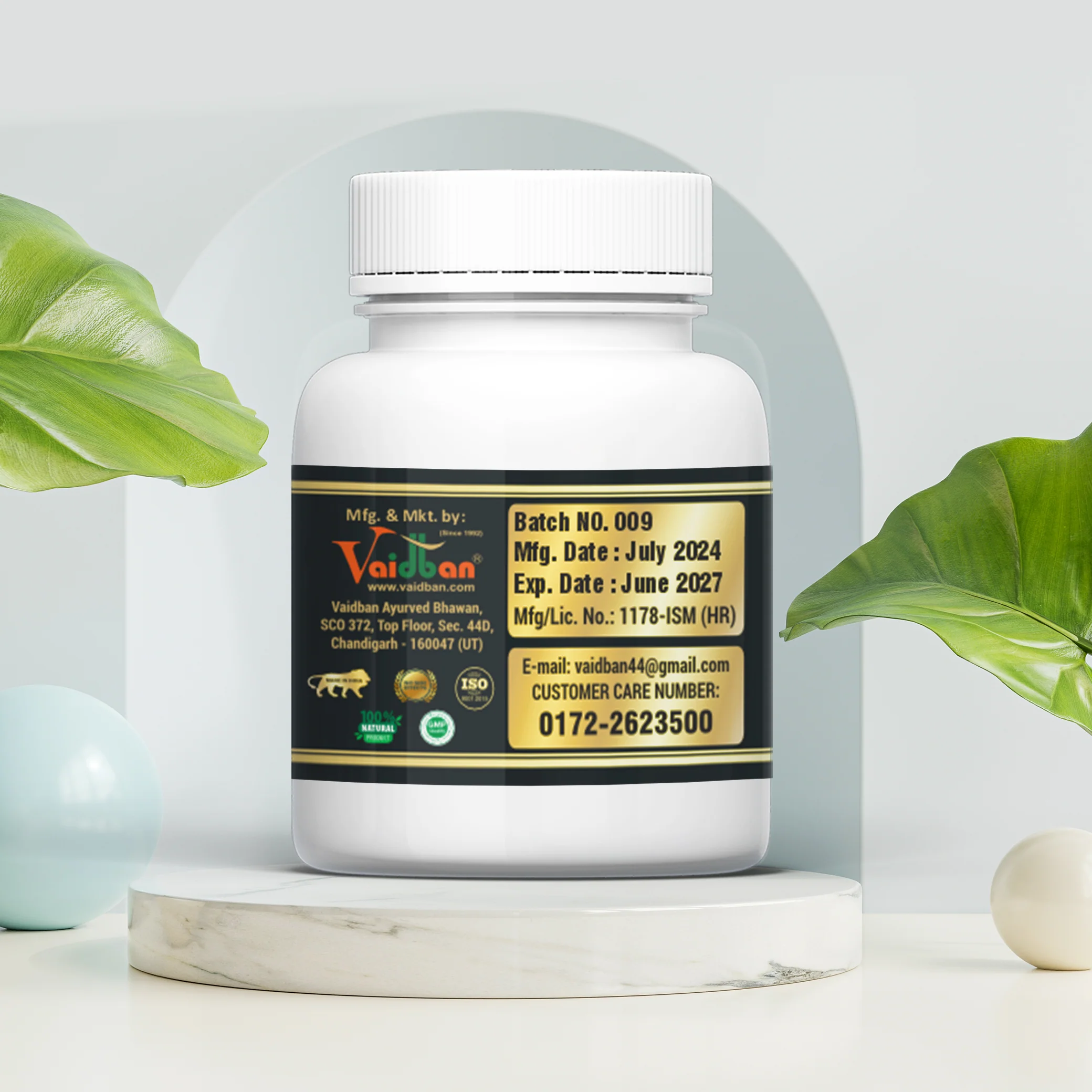 Vaidban LV-Amrit Goli ( 60 Goli ) - Herbal Liver Support - Image 5
