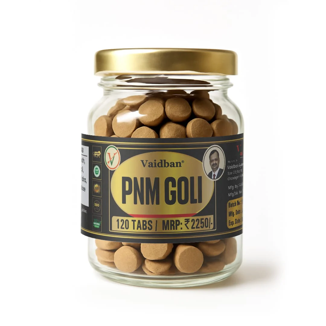 Vaidban PNM Goli for Ayurvedic Solution for Inflammation Relief - Image 3