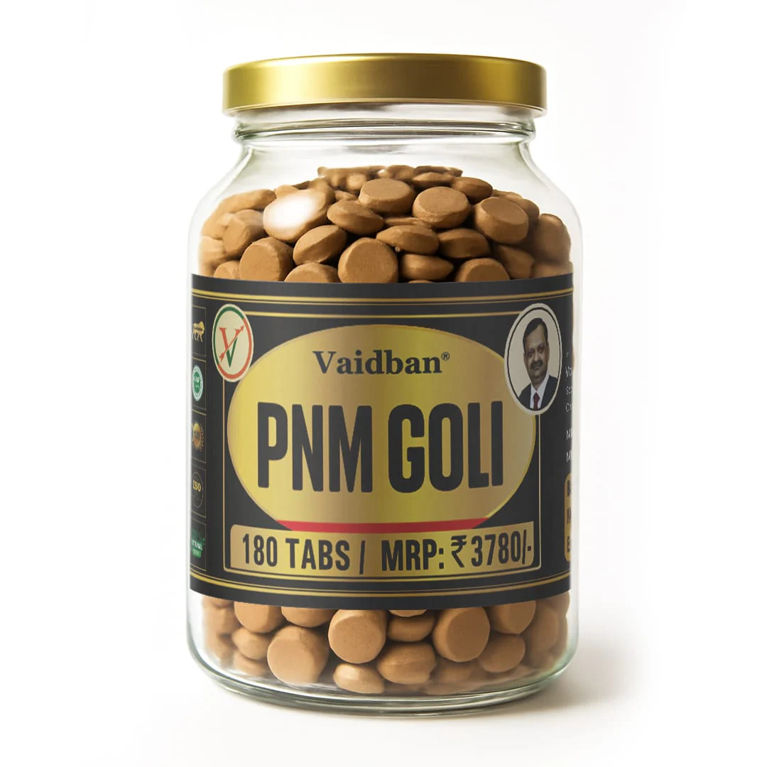 Vaidban PNM Goli for Ayurvedic Solution for Inflammation Relief - Image 4