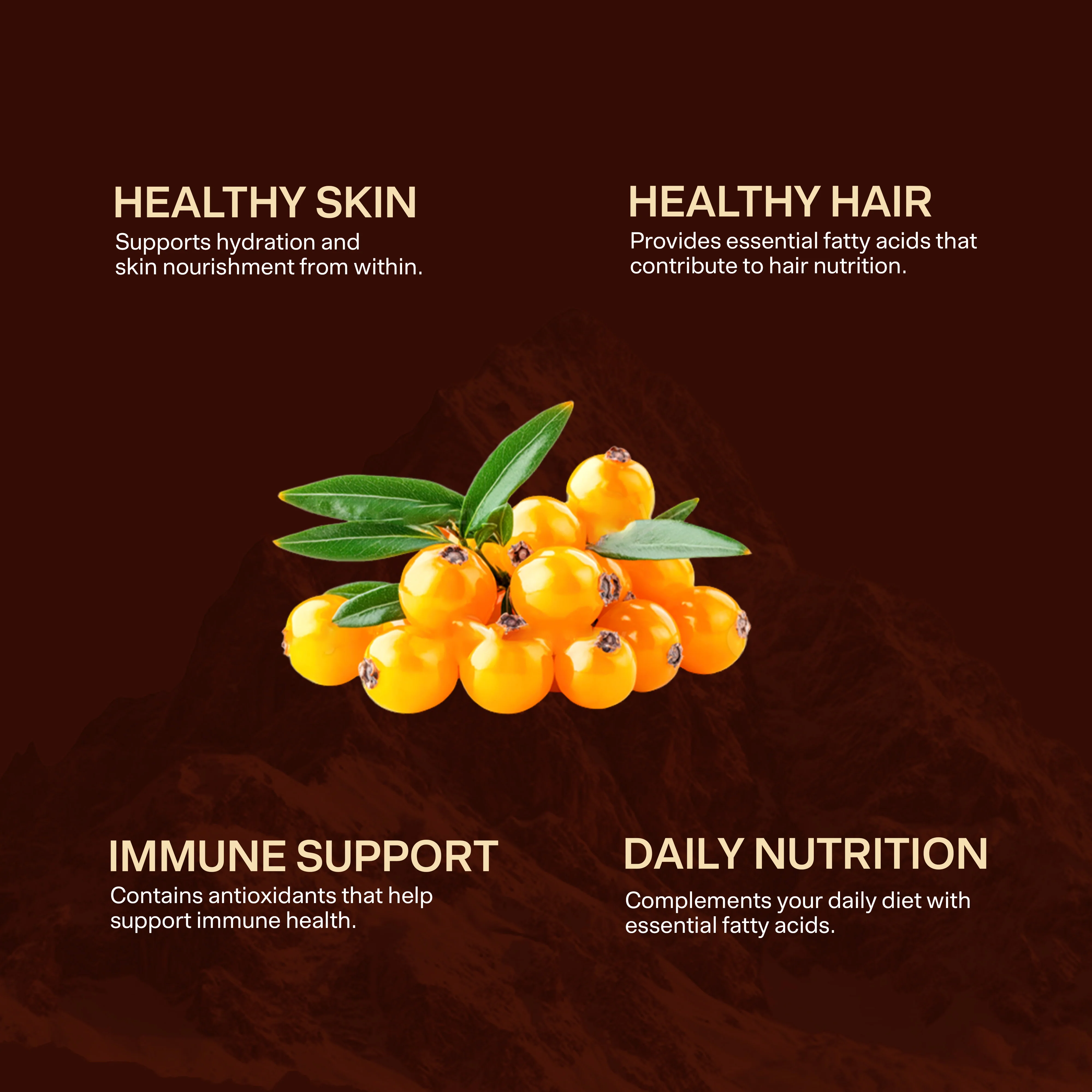Vaidban Sea Buckthorn Oil Capsules – Rich in Omega Fatty Acids - Image 2