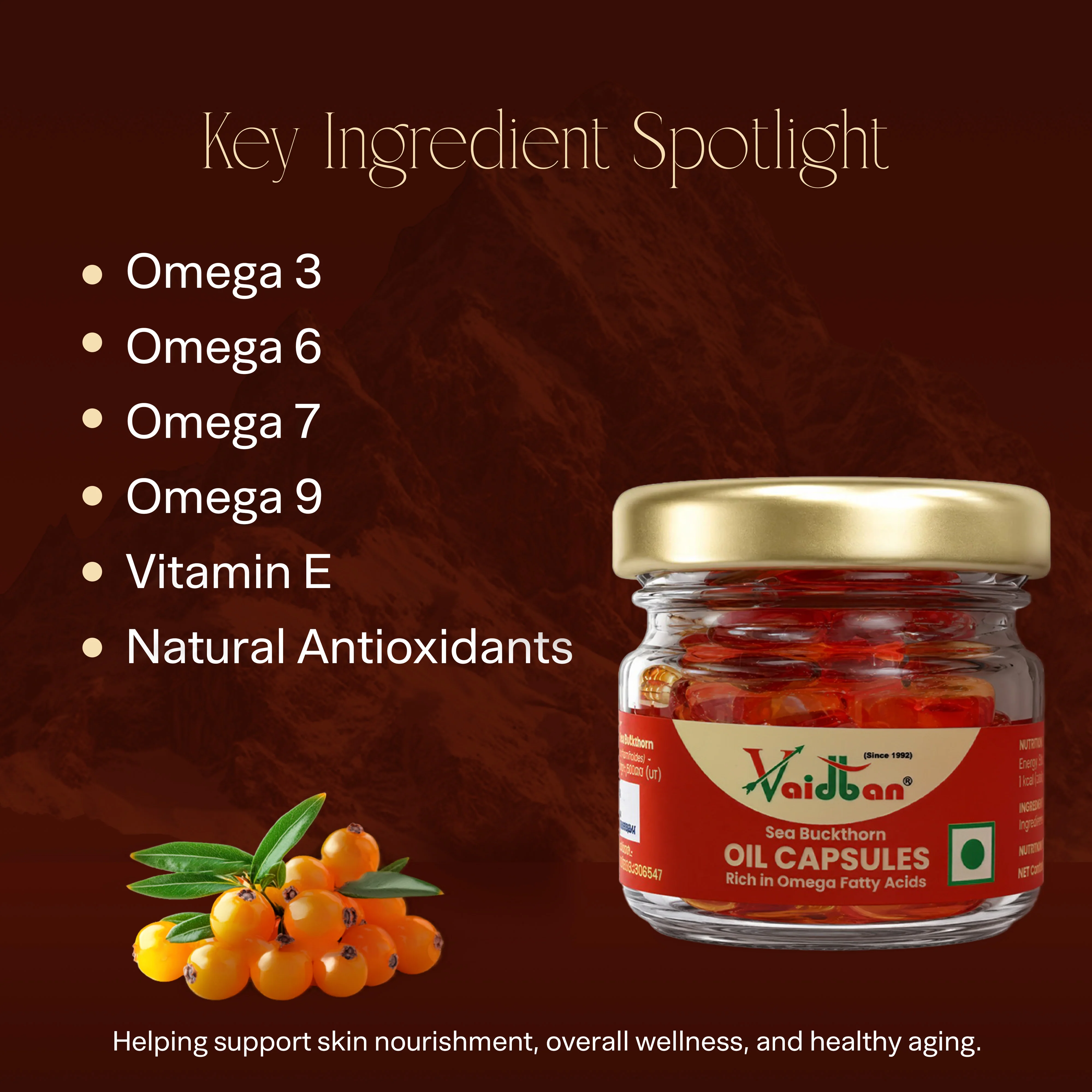 Vaidban Sea Buckthorn Oil Capsules – Rich in Omega Fatty Acids - Image 3