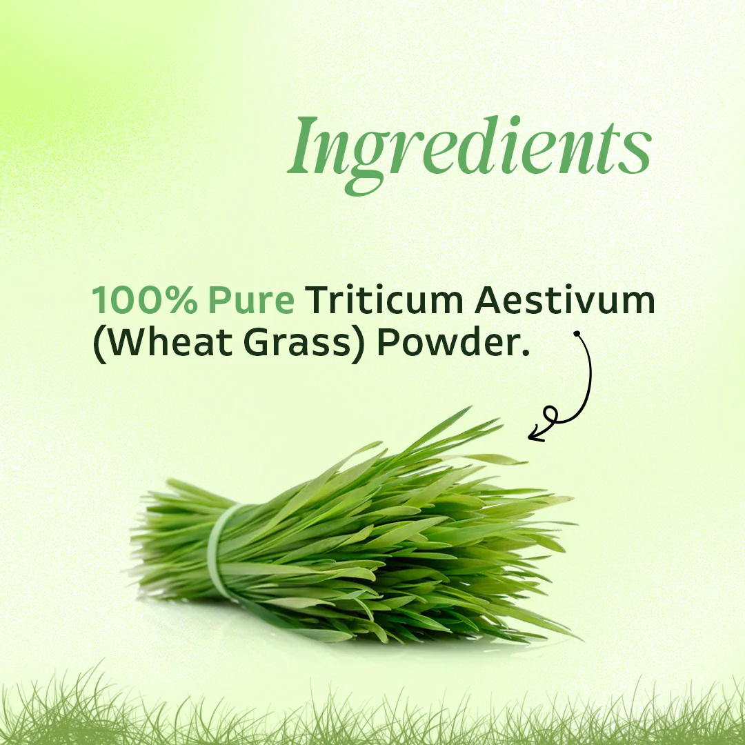 Vardhan Triticum Aestivum Fine Powder (Wheat Grass Powder) - 100 grams - Image 3