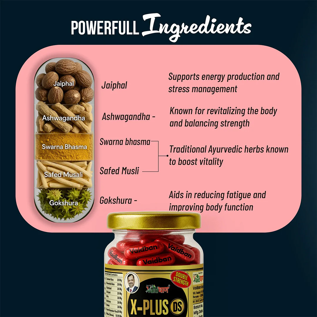 Vaidban X-Plus DS Gold – Double Strength Formula for Vitality & Wellness - Image 3